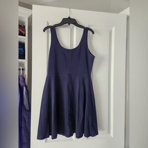 Express Blue Skater Sleeveless Dress